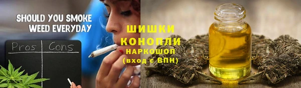 гидра Чегем